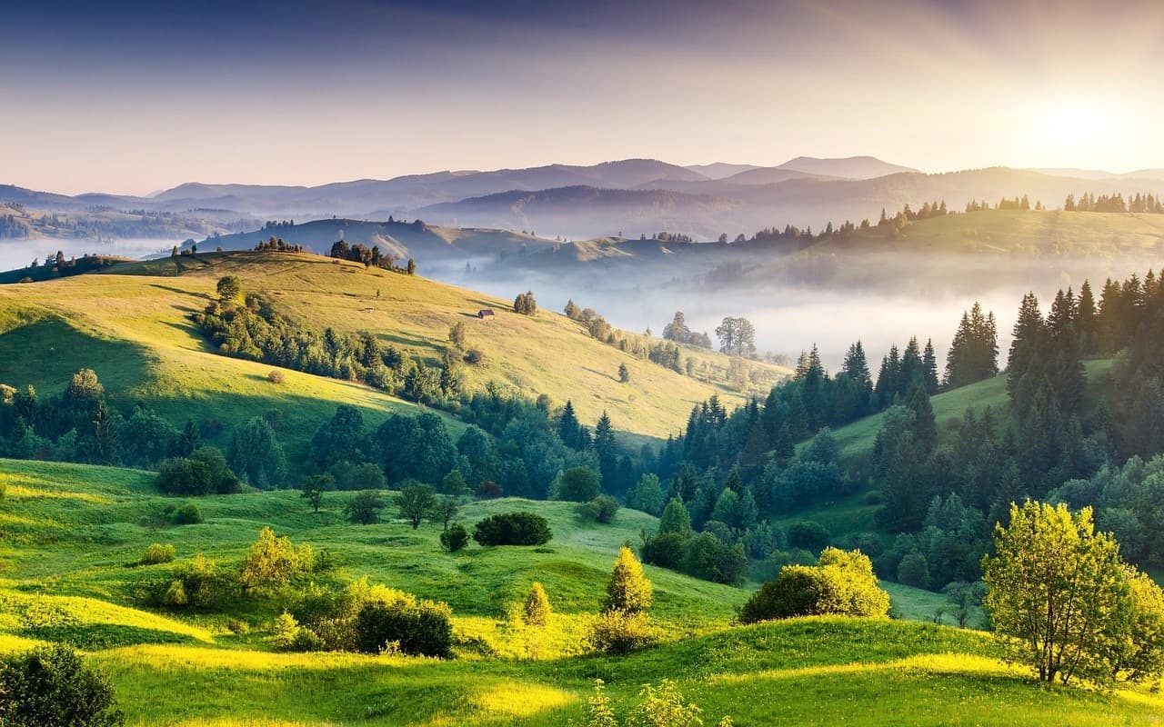 Eco Background